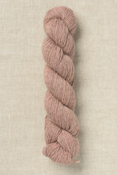 Bramble & Fleece Sheepsoft DK Yarn - 282 Kilnsey