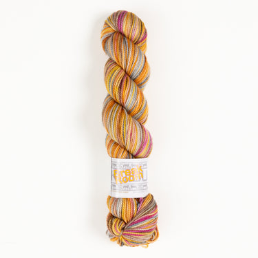 Koigu KPPPM Yarn - '26 February Collector - Break Room