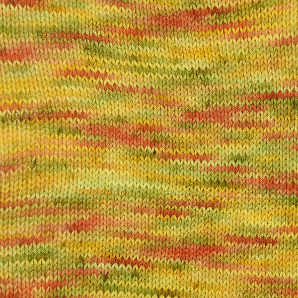Berroco Vintage Sock Handpaint Yarn - 12205 Spring Bloom
